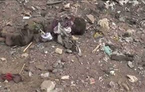 مملكة العدوان تقطع اليمنيين اشلاء، ولا ترحم الاطفال!+فيديو وصور