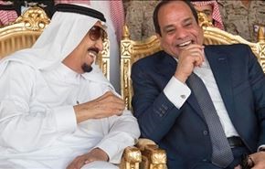 افشاگری مجتهد درباره پل مشترک عربستان و مصر
