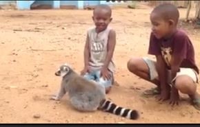 بالفيديو.. حيوان يطلب مساعدة الأطفال في شىء غريب!!