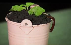 الطهي الجزيئي في اندونيسيا