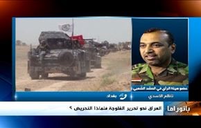 صراع المسلحين في سوريا وتحرير الفلوجة و المشهد اليمني