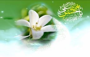 ذكرى ميلاد الامام الحسن المجتبى (عليه السلام)