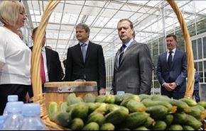 روسیه عجله‌ای برای خرید سبزیجات ترکیه ندارد
