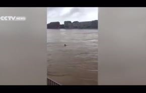 بالفيديو... الفيضانات تجرف جنديا عدة كيلومترات