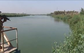 بالفيديو: القوات العراقية تصطاد الارهابيين بالخالدية، فأين اختبئوا؟