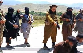 هلاکت 300 داعشی در ننگرهار
