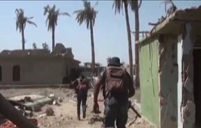بالفيديو: مقتلة كبرى للدواعش بالانبار خلال نسف مواقعهم وانفاقهم