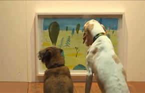 فيديو؛ معرض فني زواره من الكلاب فقط!
