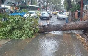 خسائر العاصفة في مازندران تقدر بـ 170 مليار تومان