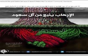 خشم فیسبوک از کمپین "الشجره الملعونه" !
