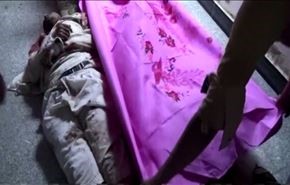 فيديو؛ آخر انتصارات السعودية في اليمن!!