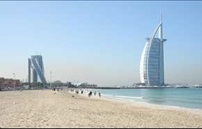 ببر در ساحل دبی!
