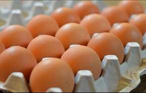 بيضة يومياً تحميك من السكتة الدماغية والجلطات