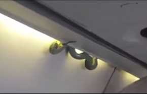 بالفيديو .. شاهد ما فعله ثعبان أخضر بركاب طائرة مكسيكية!