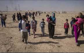 تقدیر سازمان ملل از ارتش و الحشد الشعبی عراق