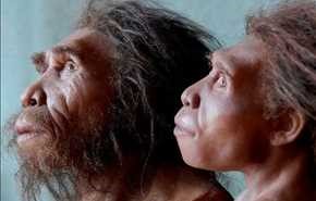 کشف سکونت انسانهای نئاندرتال ۴۰ هزار سال پیش در قلعه ماکو