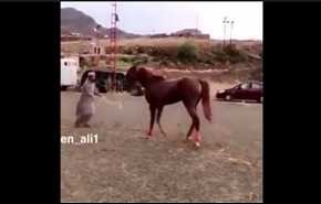 بالفيديو.. سعودي حاول ترويض حصان هذه كانت النتيجة!