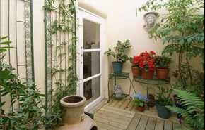 تصفیه هوای خانه با گیاهان!
