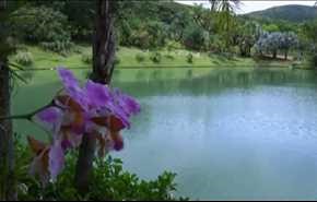 حديقة انيوتيم.. اضخم متحف مفتوح في العالم