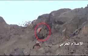 شاهد بالفيديو: جثث جنود سعوديين حاولوا العبث مع القوات اليمنية