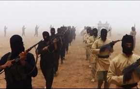 الوحدة الاسلامية ومشروع حفظ الهوية