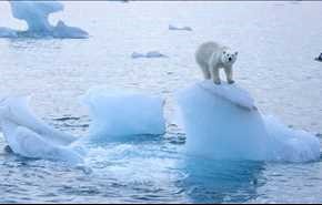 گرمای هوا در قطب شمال رکوردشکن می‌شود