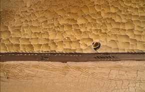 أغرب الصور التي ظهرت في عام 2016