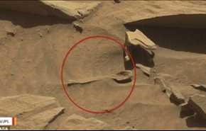 فيديو مدهش ...  العثور على ملعقة على سطح المريخ