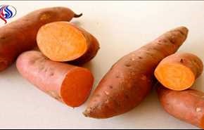 البطاطا الحلوة مخزن غذائي يضم العديد من الفيتامينات والمعادن