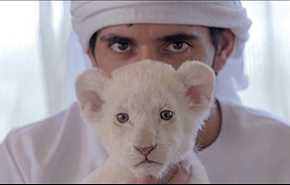 ممنوع شدن حیوان خانگی "درنده" در امارات