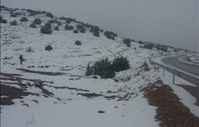 بالفيديو ...الثلوج في ولاية الأغواط الجزائرية