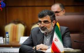 توضیحات کمالوندی درباره دستاورد تازه هسته ای ایران