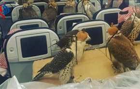 عکس؛ شاهزاده سعودی برای پرنده‌ها بلیت هواپیما خرید