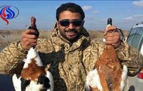بالصور.. أمراء قطر والإمارات يعبثون بمحميات الطيور في آذربيجان