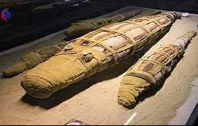 کشف یک تمساح مومیایی غول پیکر در مصر