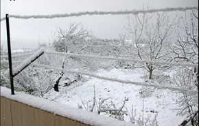 بالصور..الثلوج في قرية النمرية بمنطقة الشيخ بدر في طرطوس السورية