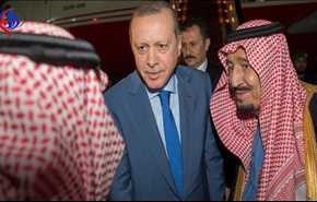 نویسندۀ اماراتی: اعراب 2 بار از نیش اردوغان گزیده نمی شوند