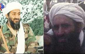 ماذا يعني غياب صهر بن لادن عن تنظيم القاعده؟!
