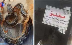بالصور.. ثعبان داخل وجبة طعام في السعودية!!