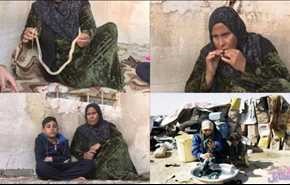 عراقية مصابة بالسرطان تأكل ثعبانا كل شهر...وهذا هو السبب!