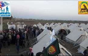 توزیع کمکهای آستان قدس حسینی میان آوارگان موصل