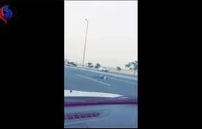 ویدیو ... تصادف وحشتناک هنگام فرار از دست پلیس