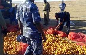السودان تتلف البرتقال المصري على الحدود