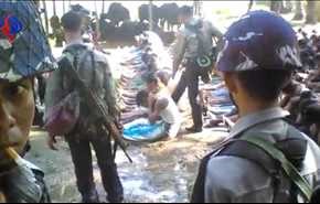 الجيش في ميانمار: مسلمو الروهينجا مهاجرون وليسوا مواطنين!