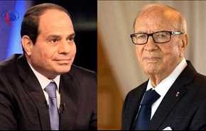 تجلیل مصر و تونس از مبارزه عراق با تروریسم