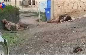 محافظ صلاح الدين يؤكد مقتل ستة انتحاريين .. وسابع يفجر نفسه