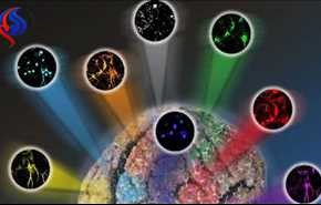 رکورد جدید رنگ‌های قابل تشخیص درمیکروسکوپ