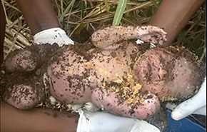 نوزاد زنده‌به‌گور شده، زنده از زیر خاک بیرون کشیده شد + عکس