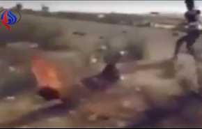 بالفيديو.. قبيلة مصرية تحرق داعشيا وهو حي وتتوعد زملاءه في سيناء