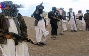 هلاکت چندین عضو طالبان در افغانستان